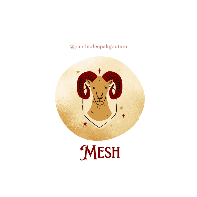 Mesh Rashi Rudraksha 3 Face